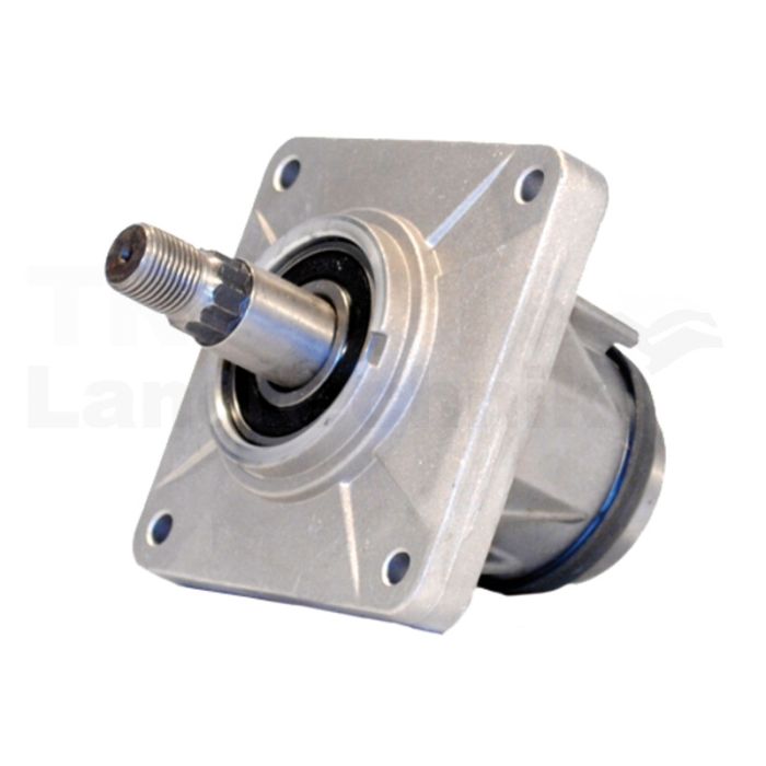 Messerspindel Messerspindel