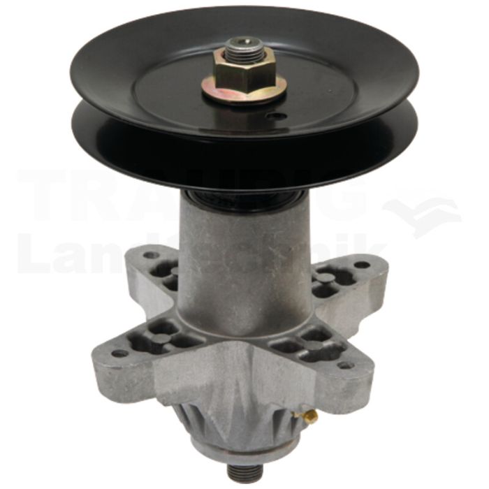 Messerspindel
