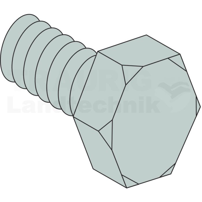 6kt-Schraube
