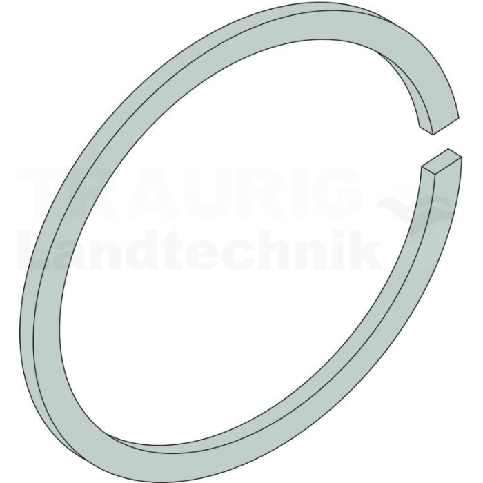 Sicherungsring