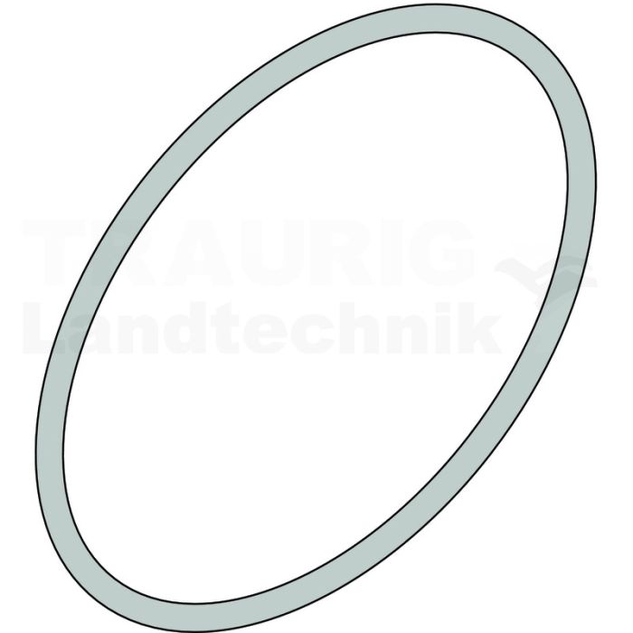 O-Ring