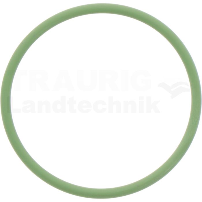 O-Ring