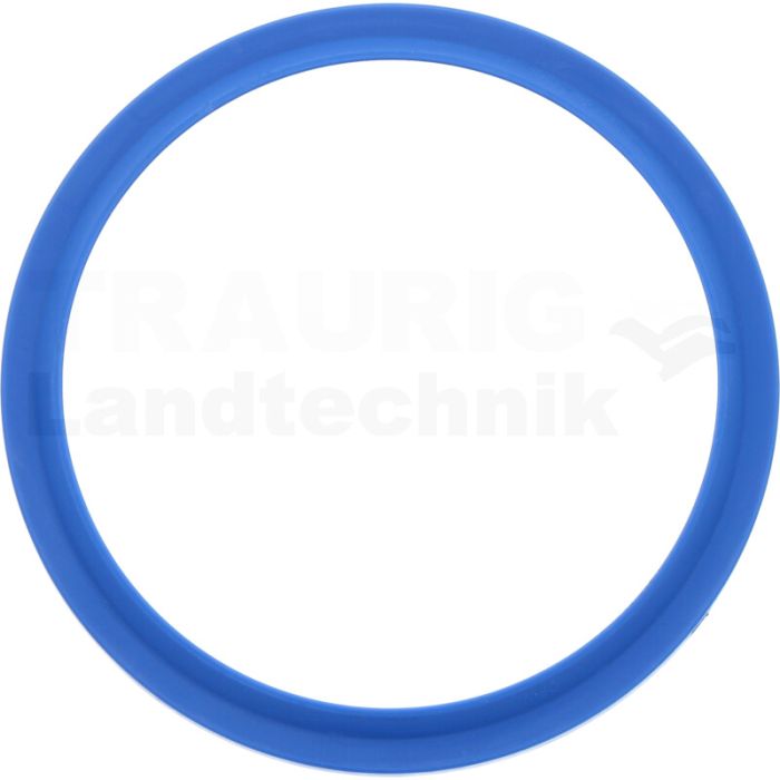 Dichtring