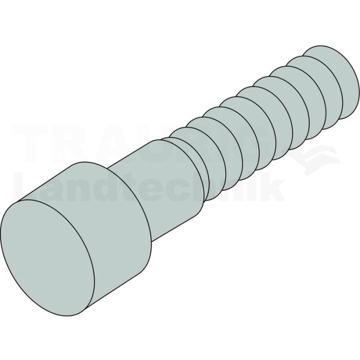 Zylinderschraube