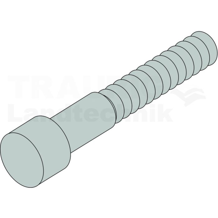 Zylinderschraube