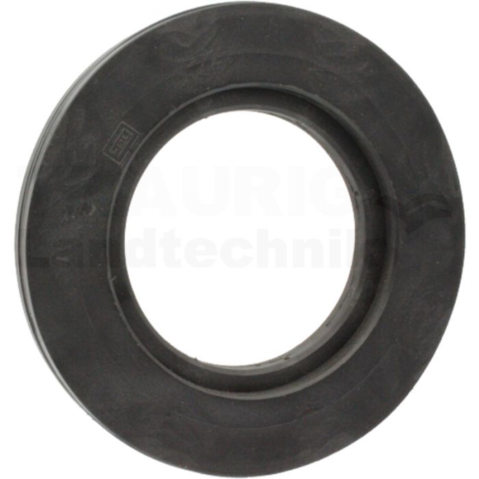 Dichtring