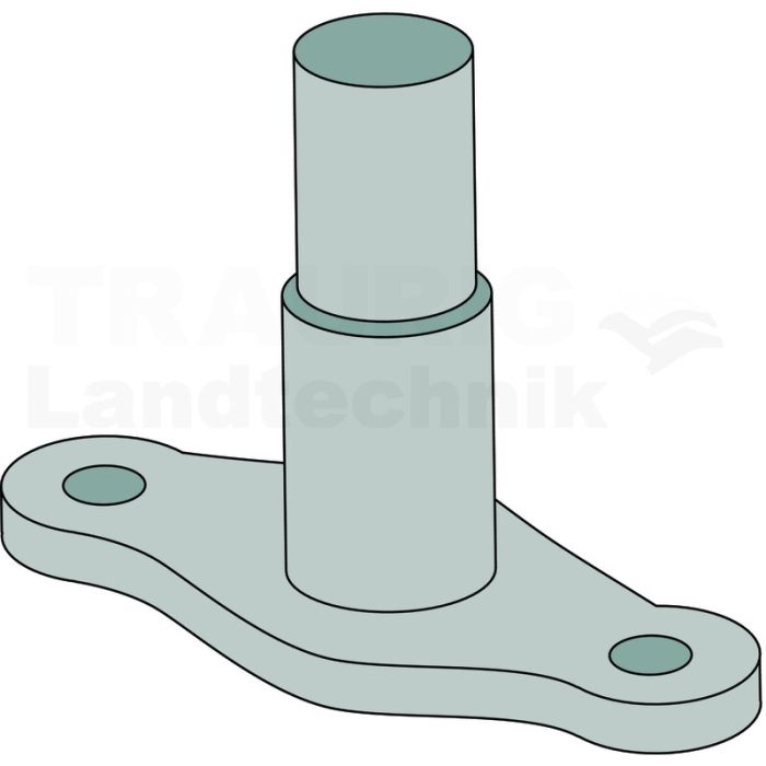 Hebelwelle