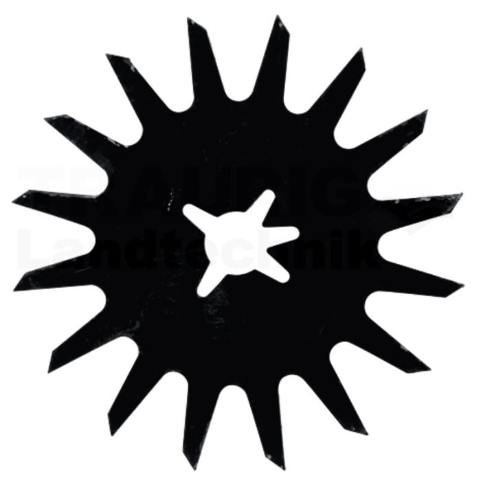 Scheibe