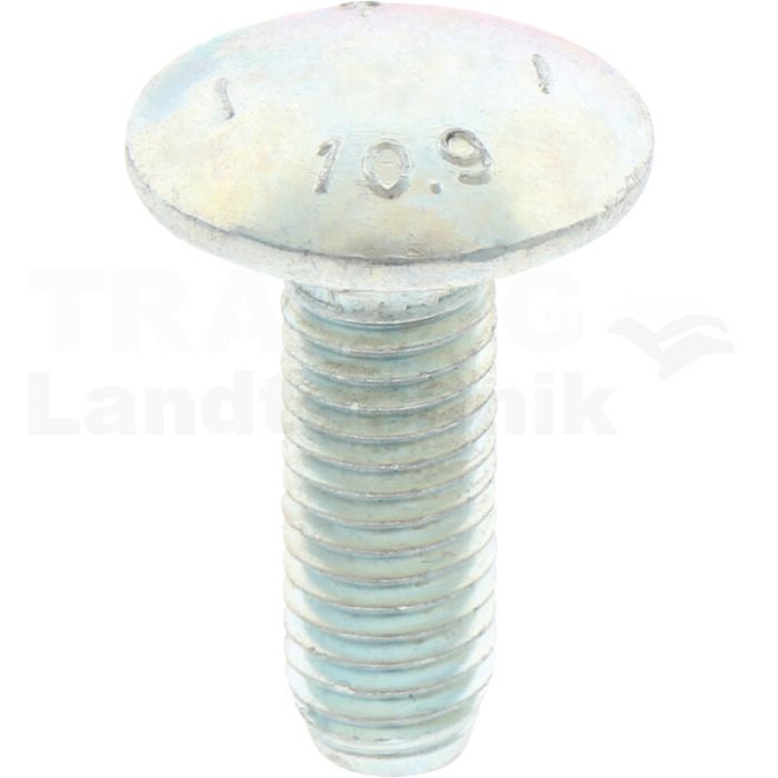 Flachrundschraube M10x1,5 30mm 10.9