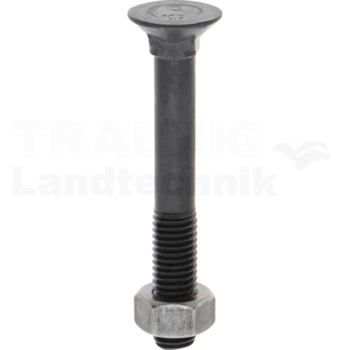 Pflugschraube M12 x 90, 8.8
