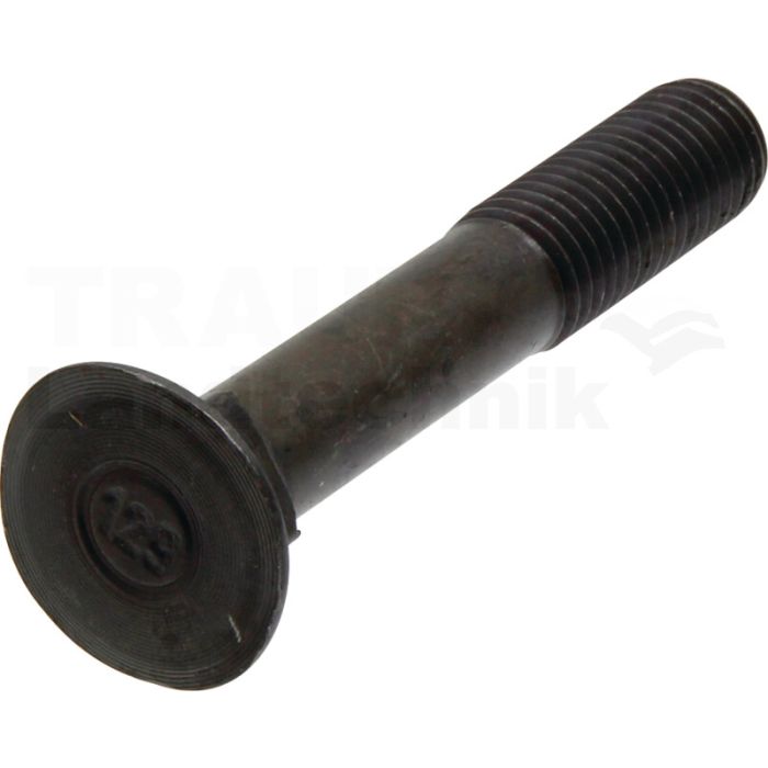 Pflugschraube M14x90-608-12.9