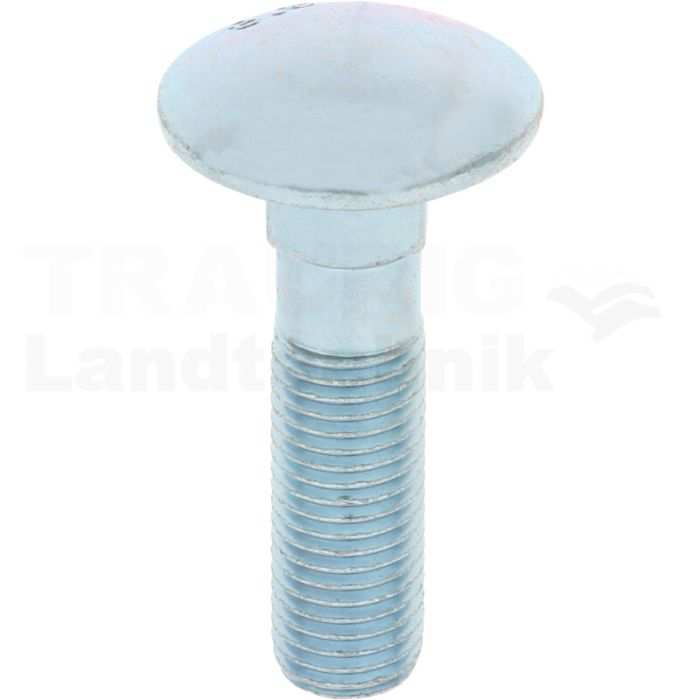 Flachrundschraube M16x65 8.8