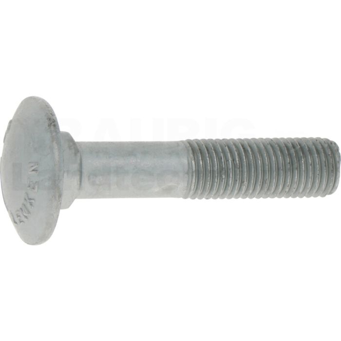 Flachrundschraube