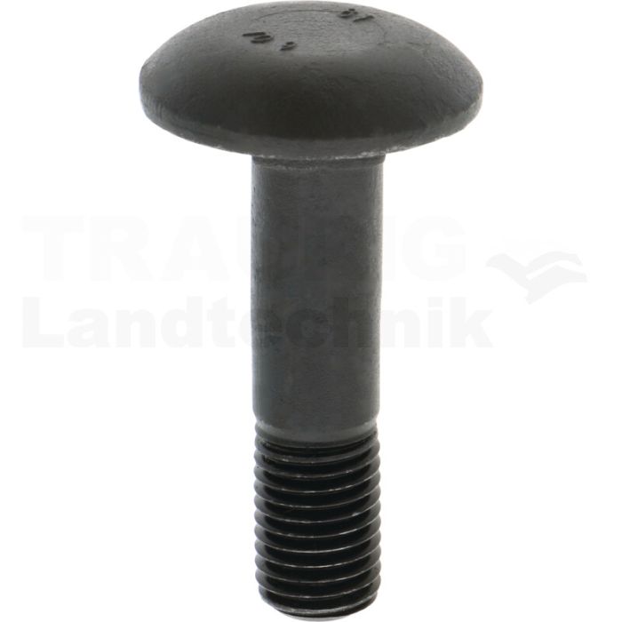 Flachrundschraube M16x65