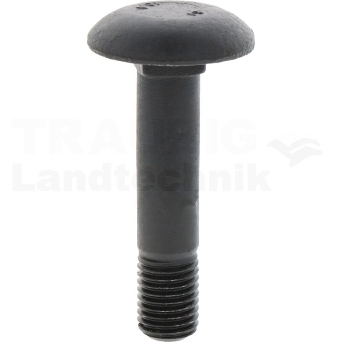 Flachrundschraube M16