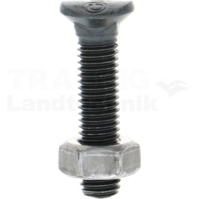 Pflugschraube M10 x 45, 8.8