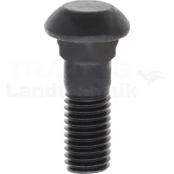 Flachrundschraube M12x1,75 - 10.9 Flachrundschraube M12x1,75 - 10.9