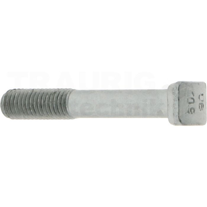 Hammerkopfschraube