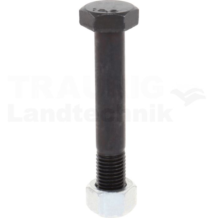 Schraube M16x2 - 10.9