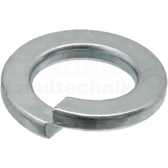 Federring Federring
