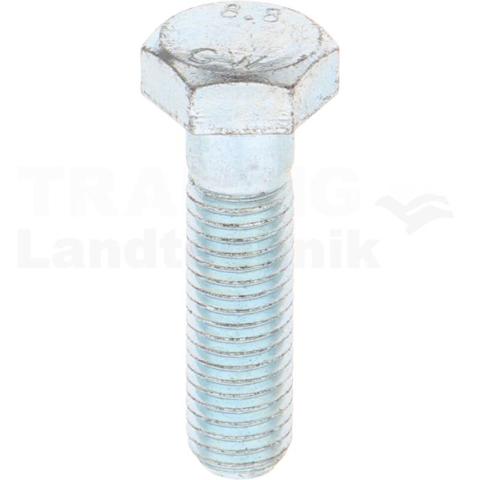 Schraube H12X45