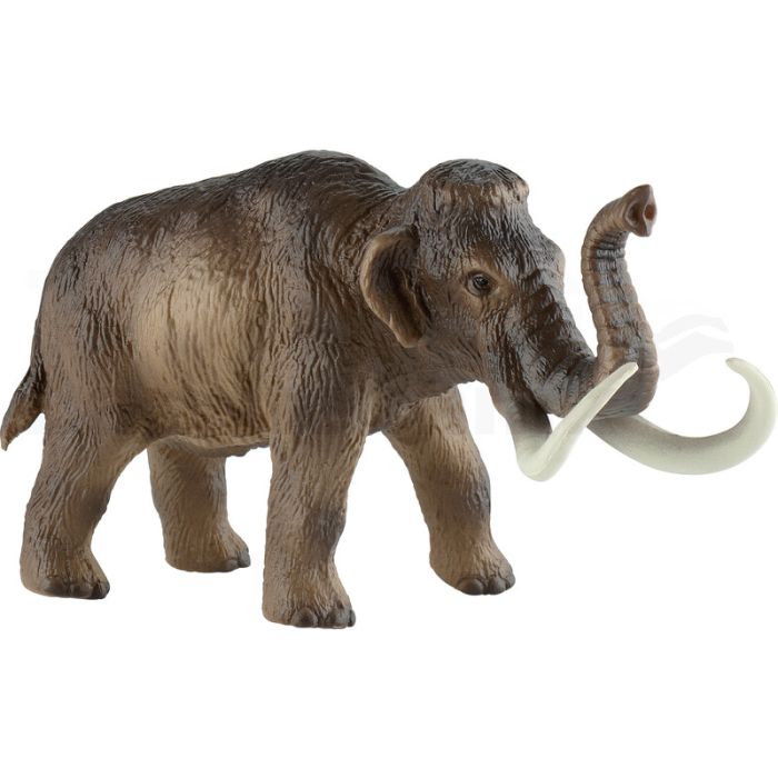 Riesenmammut Riesenmammut