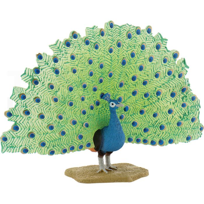 Pfau