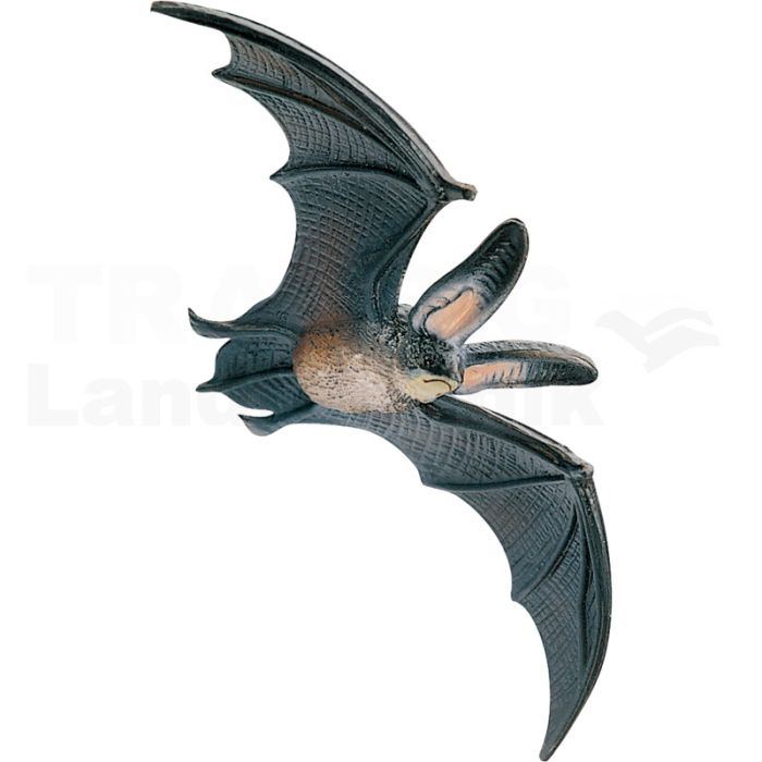 Fledermaus Baby Fledermaus Baby