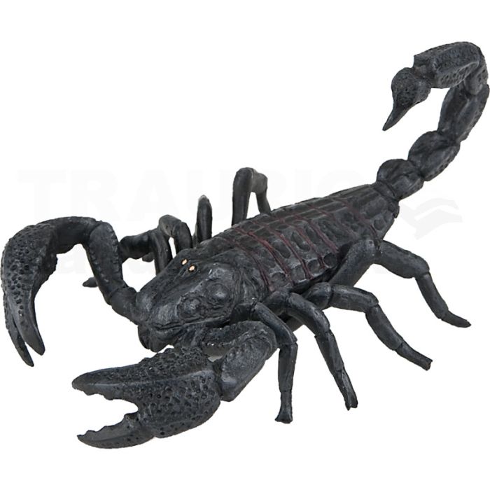 Skorpion Skorpion