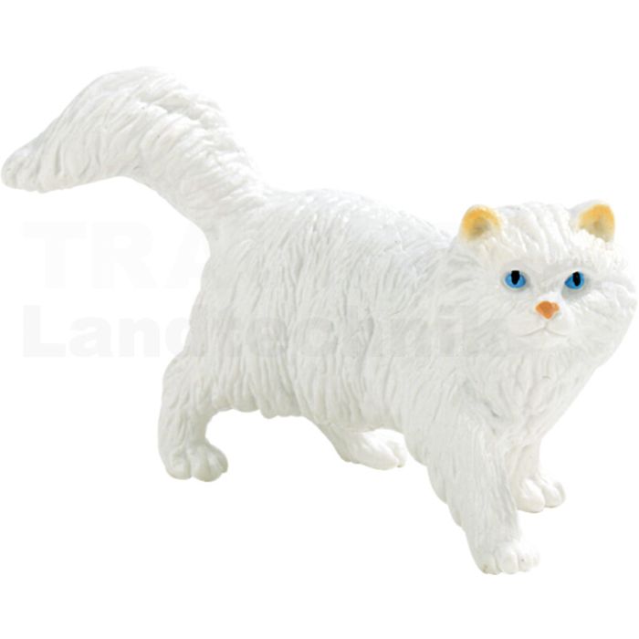 Perserkatze Princess