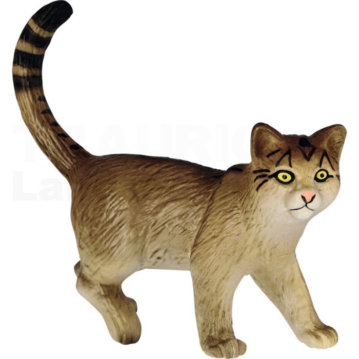 Wildkatze Wildkatze