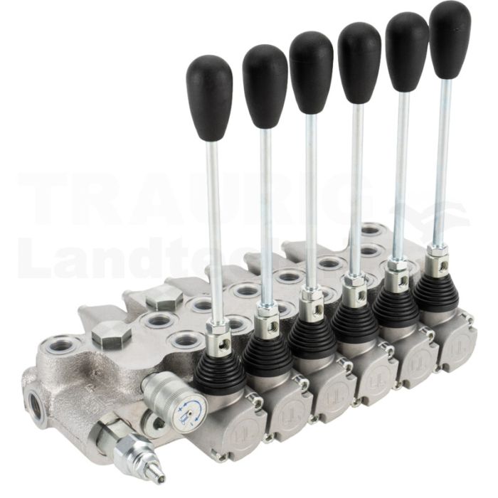 Monoblockventil BF401/6 (6x) DW Monoblockventil BF401/6 (6x) DW