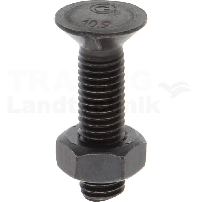 VPE25 Pflugschraube M10x40 DIN 11014