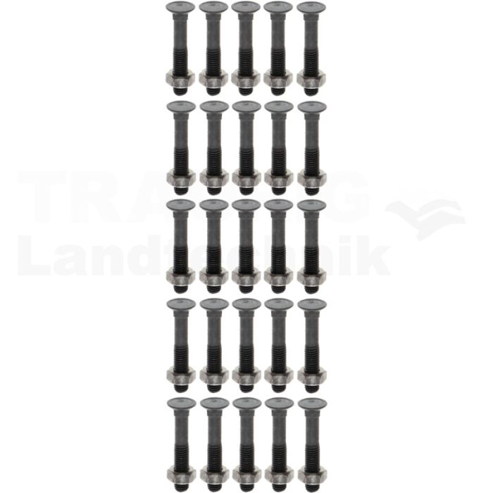 VPE25 Pflugschraube M10x60 DIN 608