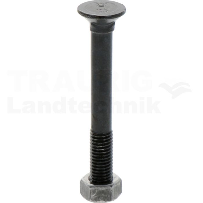 VPE25 Pflugschraube M12x100 DIN 608