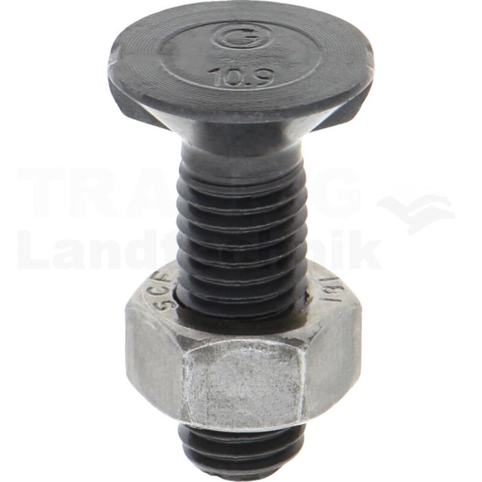 VPE25 Pflugschraube M12x40 DIN 11014