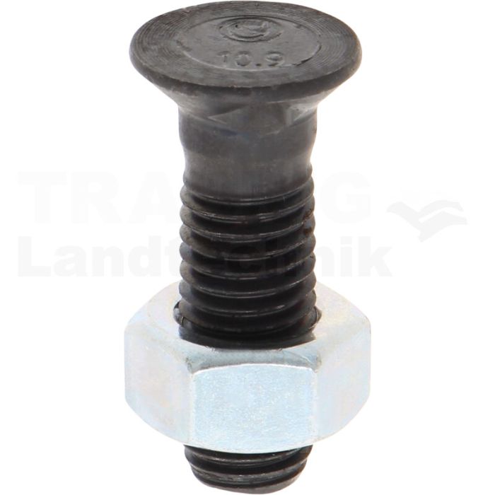 VPE25 Pflugschraube M12x40 DIN11014