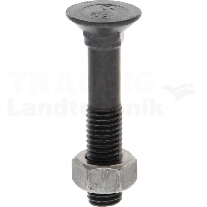 VPE25 Pflugschraube M12x65 DIN 608