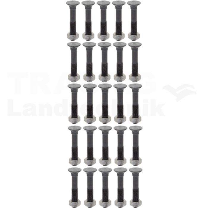 VPE25 Pflugschraube M12x70 DIN 608