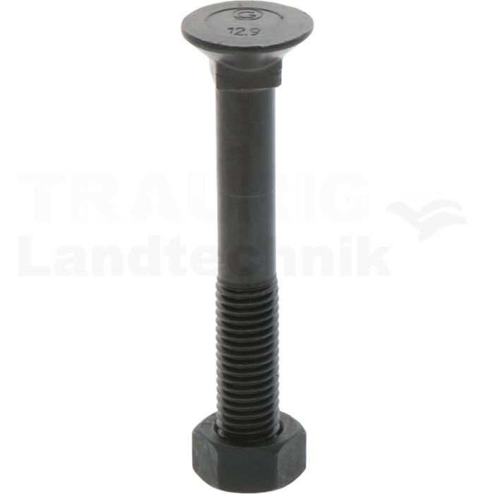 VPE25 Pflugschraube M12x85 DIN 608