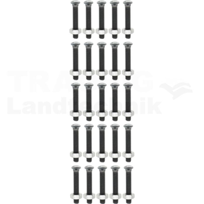 Planetschrauben mit Mutter M10x60, 10.9