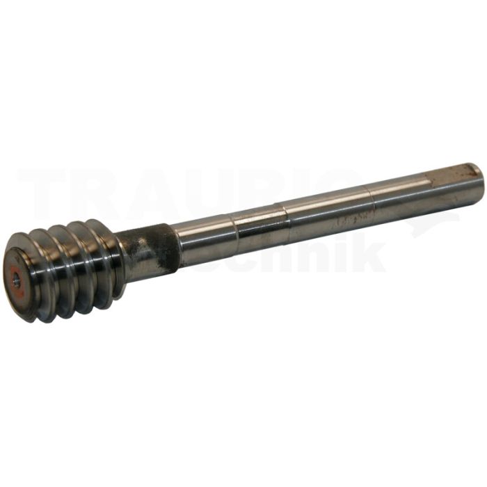 Schneckenwelle
