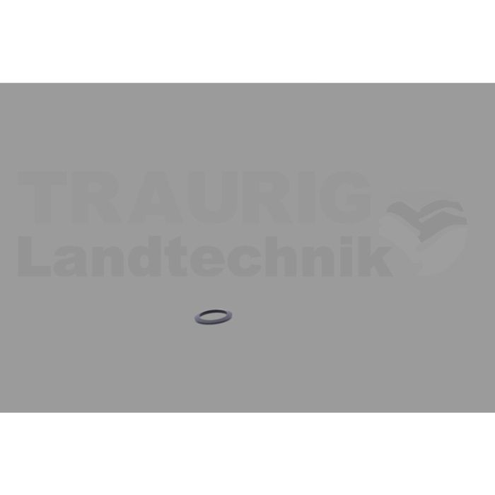 Sicherungsscheibe