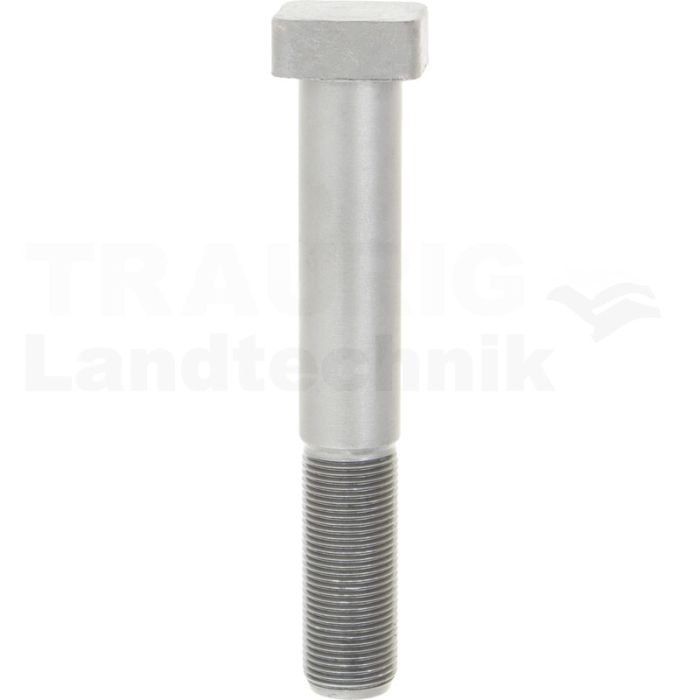 Hammerkopfschraube