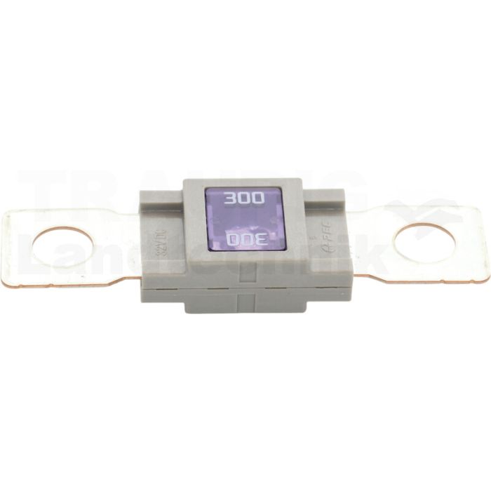 Sicherung 300A