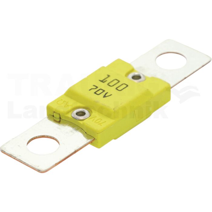 Sicherung 100A