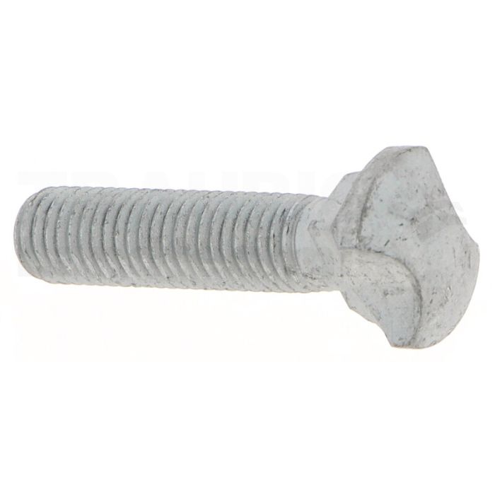 Kettenschraube M10 Kettenschraube M10