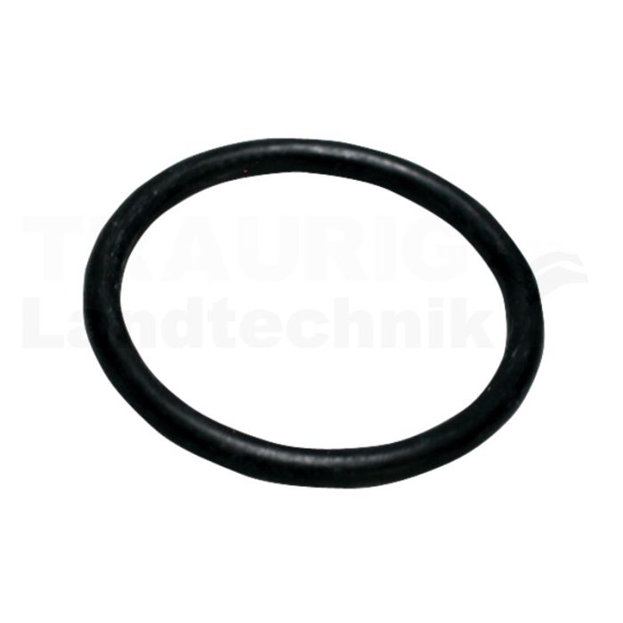 Dicht-O-Ring
