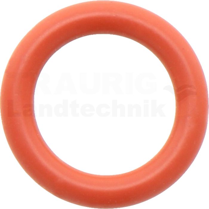 O-Ring