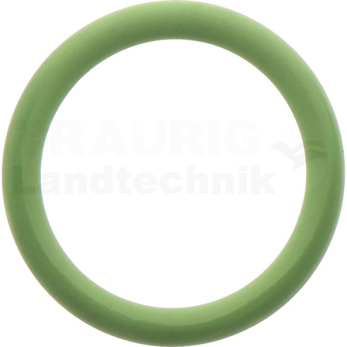 O-Ring